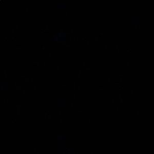 Meet your Posher, Janet